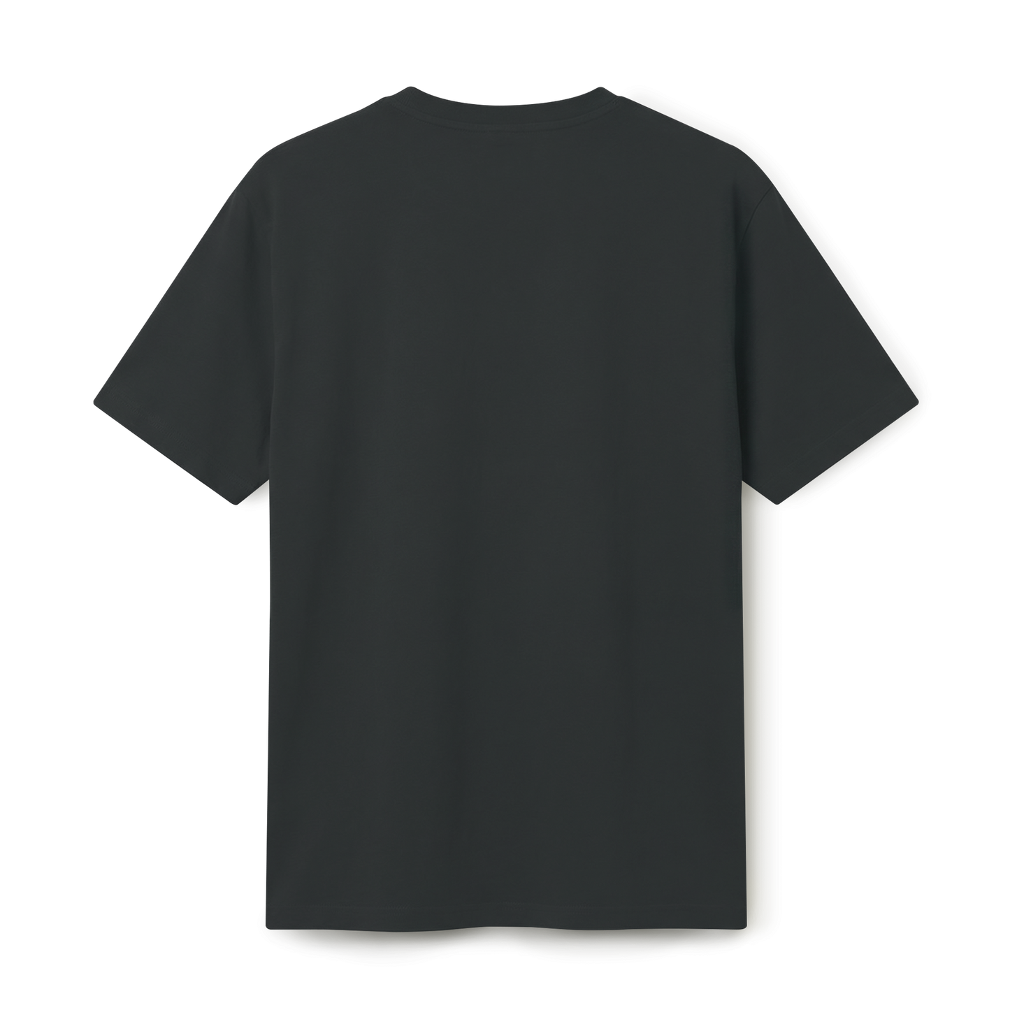 MEN T-shirts