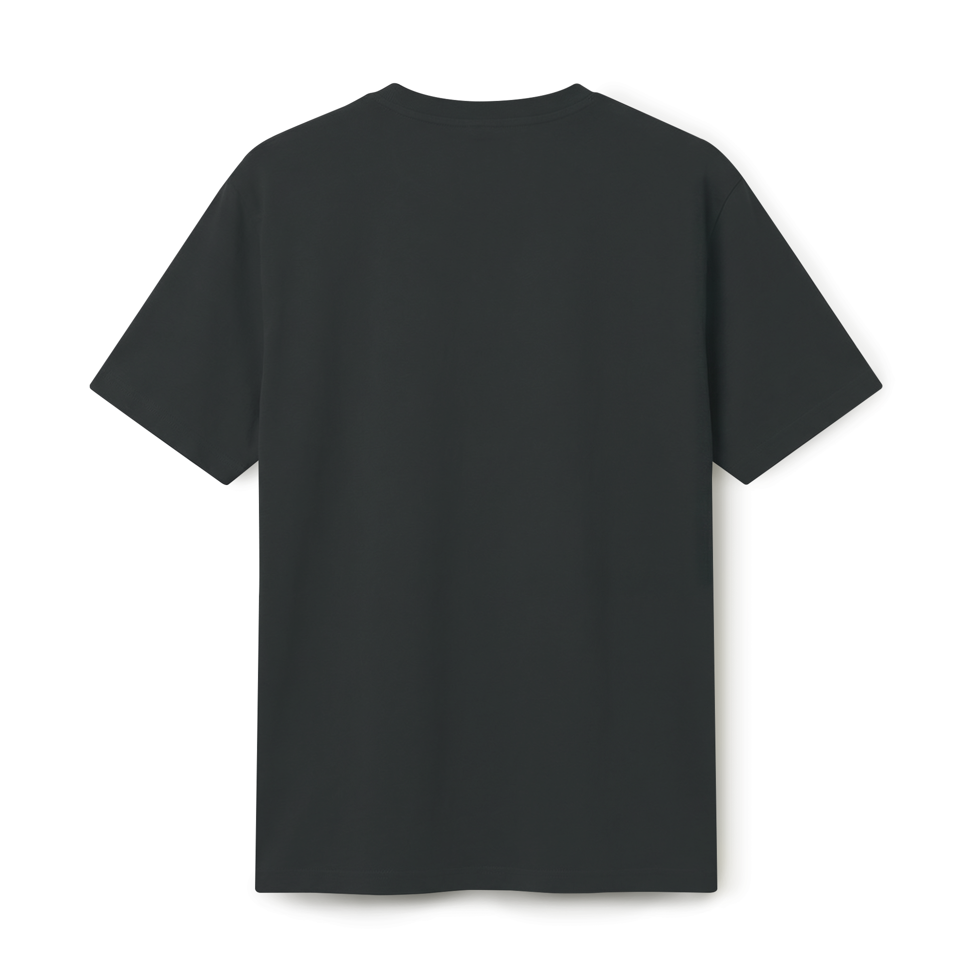 MEN T-shirts