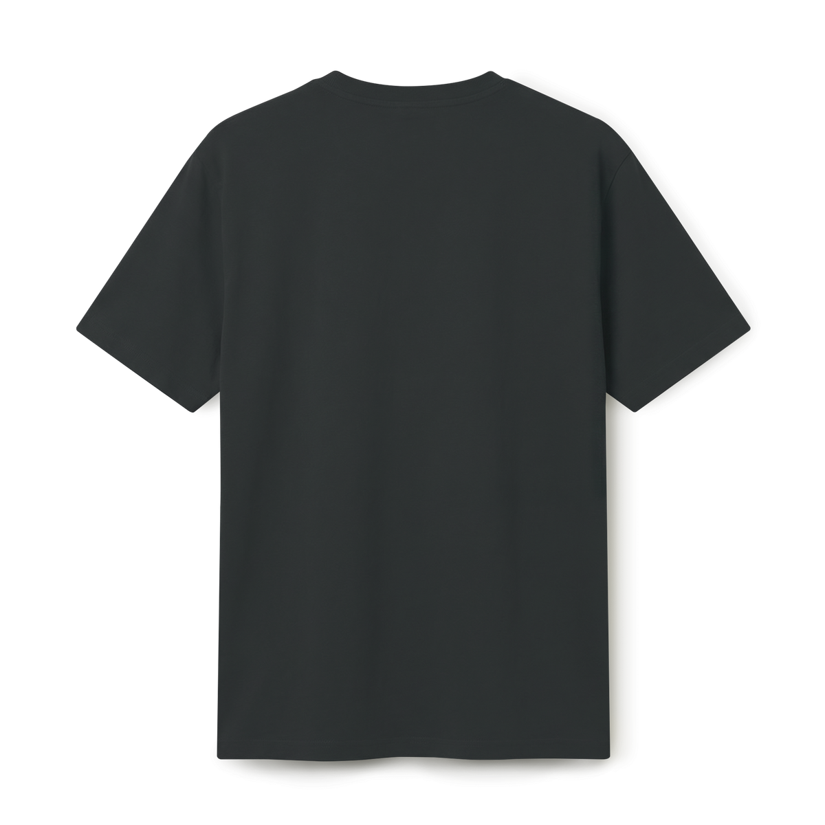 MEN T-shirts